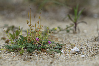 BUITEN BEELD Foto: 413871