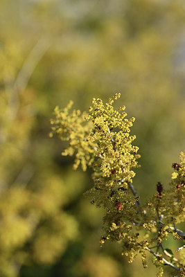 BUITEN BEELD Foto: 413874