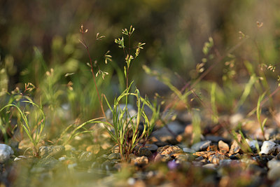 BUITEN BEELD Foto: 413881