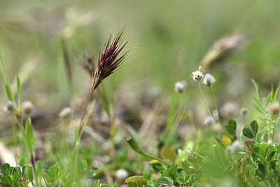 BUITEN BEELD Foto: 413888