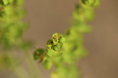 BUITEN BEELD Foto: 413891