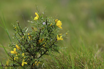 BUITEN BEELD Foto: 413921