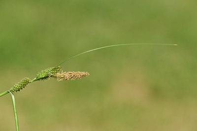 BUITEN BEELD Foto: 413922