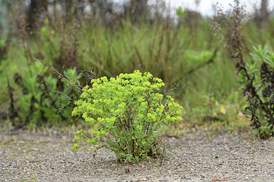 BUITEN BEELD Foto: 413926