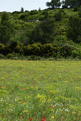 BUITEN BEELD Foto: 413928