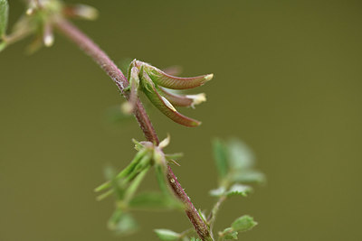 BUITEN BEELD Foto: 413940