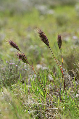 BUITEN BEELD Foto: 413944