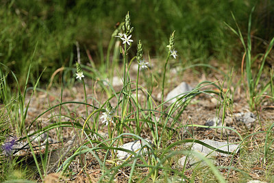 BUITEN BEELD Foto: 413945