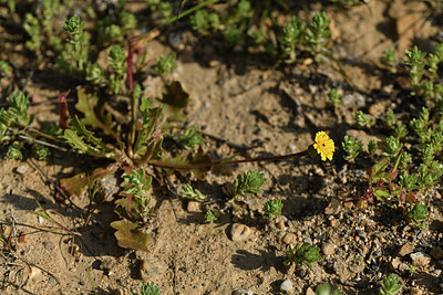 BUITEN BEELD Foto: 413955