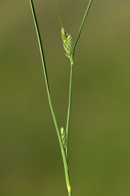 BUITEN BEELD Foto: 413958