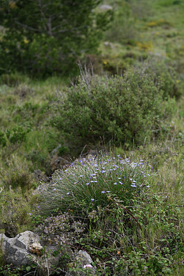 BUITEN BEELD Foto: 413980