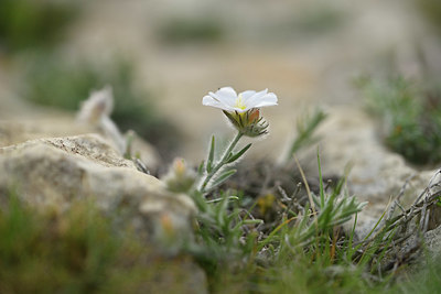 BUITEN BEELD Foto: 413986