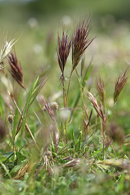 BUITEN BEELD Foto: 414001