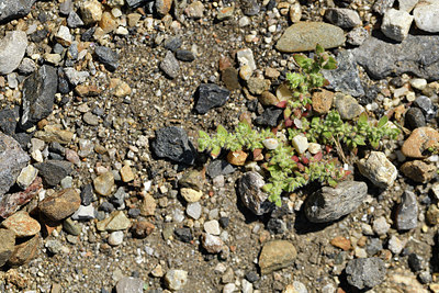 BUITEN BEELD Foto: 414003
