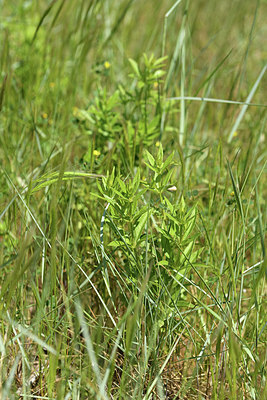 BUITEN BEELD Foto: 414018