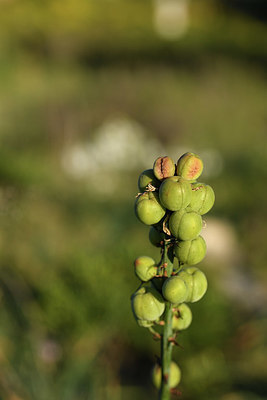 BUITEN BEELD Foto: 414024