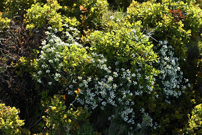 BUITEN BEELD Foto: 414032