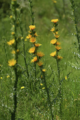 BUITEN BEELD Foto: 414034
