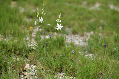 BUITEN BEELD Foto: 414035