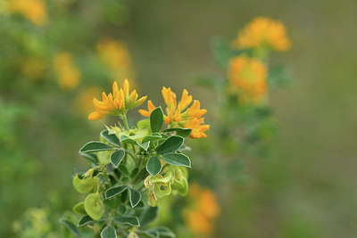 BUITEN BEELD Foto: 414040