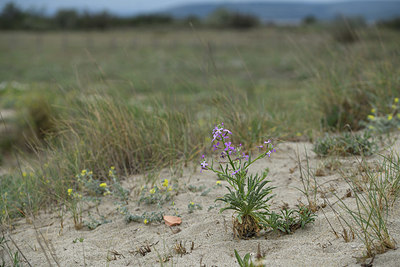 BUITEN BEELD Foto: 414044