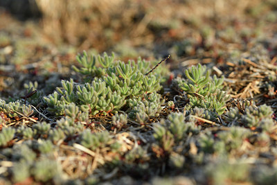 BUITEN BEELD Foto: 414056