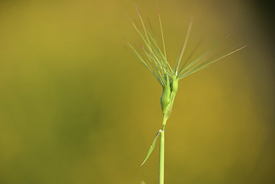 BUITEN BEELD Foto: 414059