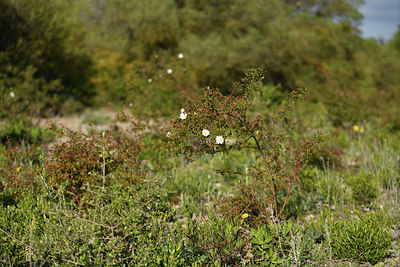 BUITEN BEELD Foto: 414064