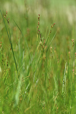 BUITEN BEELD Foto: 414076