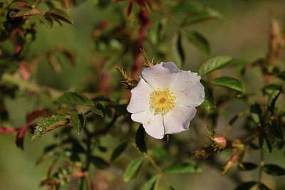 BUITEN BEELD Foto: 414091