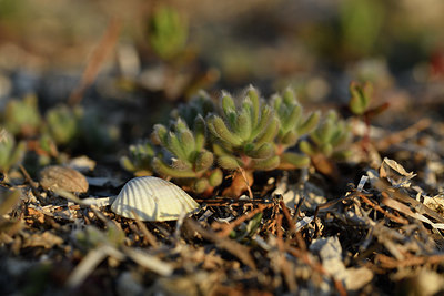 BUITEN BEELD Foto: 414095