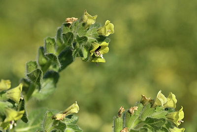 BUITEN BEELD Foto: 414135
