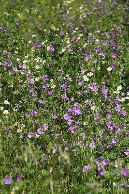 BUITEN BEELD Foto: 414136