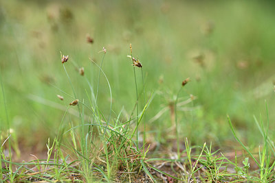 BUITEN BEELD Foto: 414141