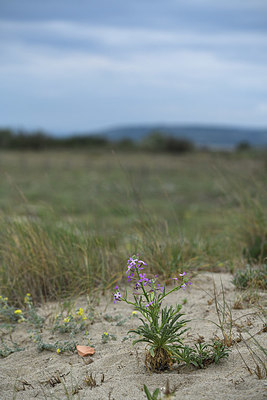 BUITEN BEELD Foto: 414153