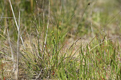 BUITEN BEELD Foto: 414164