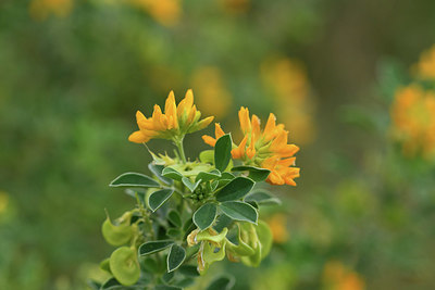 BUITEN BEELD Foto: 414168