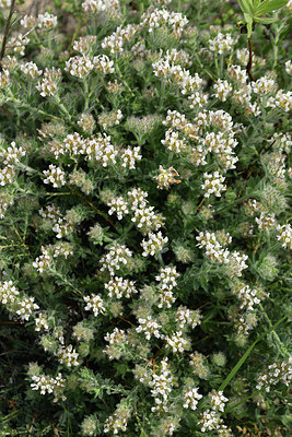 BUITEN BEELD Foto: 414181