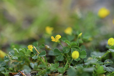 BUITEN BEELD Foto: 414189