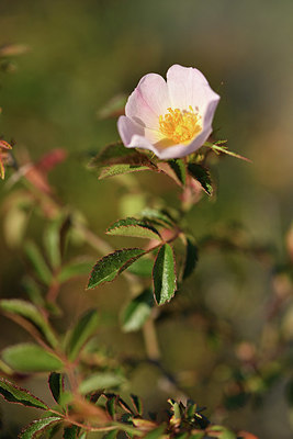 BUITEN BEELD Foto: 414204