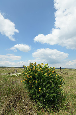 BUITEN BEELD Foto: 414211