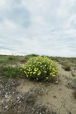 BUITEN BEELD Foto: 414216