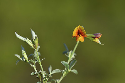 BUITEN BEELD Foto: 414226
