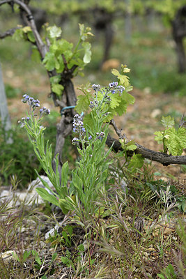 BUITEN BEELD Foto: 414237