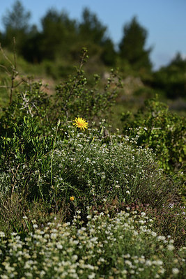 BUITEN BEELD Foto: 414255