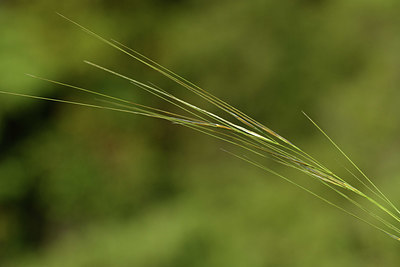 BUITEN BEELD Foto: 414279