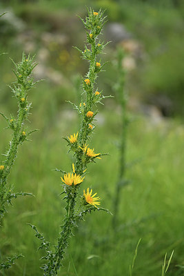 BUITEN BEELD Foto: 414291