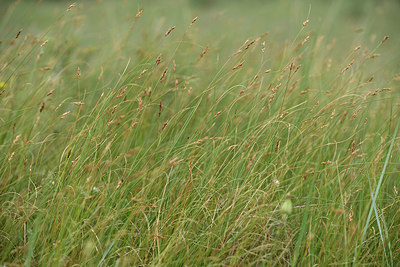 BUITEN BEELD Foto: 414297