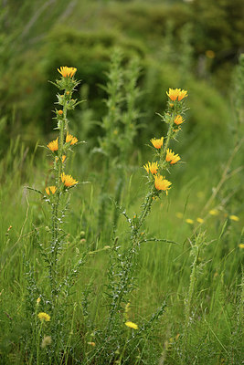 BUITEN BEELD Foto: 414298
