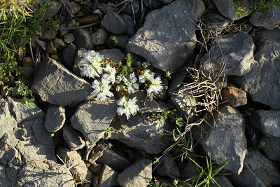 BUITEN BEELD Foto: 414302